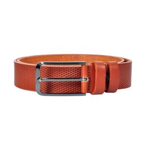 Kožený pánský hnědý opasek Pierre Cardin ENC2429